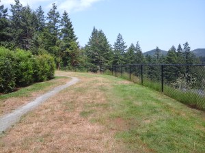 Bishops Park ridge 8