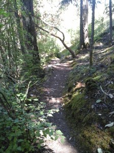Nature's Gate Park 15