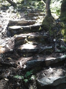 Nature's Gate Park 8