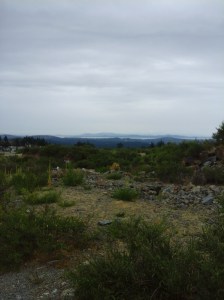 Skirt Mountain Lookout Trail 7