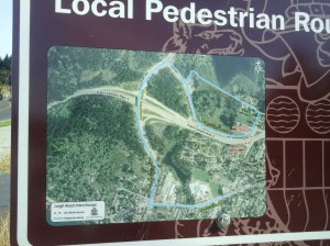 Florence Lake Stachen Trail 11