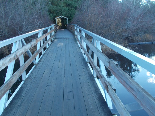 boardwalk on Glen Lake east end