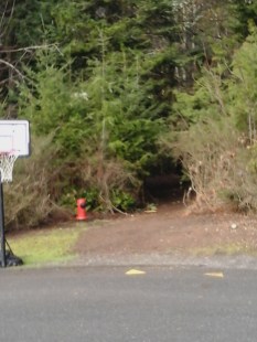 Parkdale Trail 2