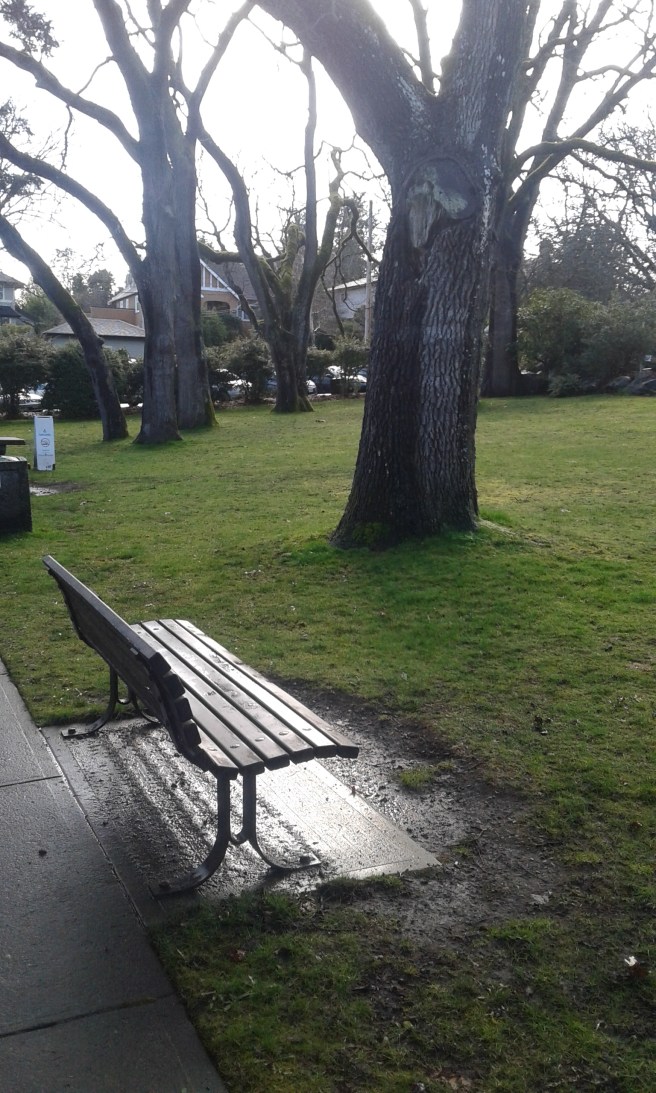 OB backarea park bench