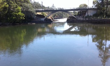 Gorge Park ebb bridge