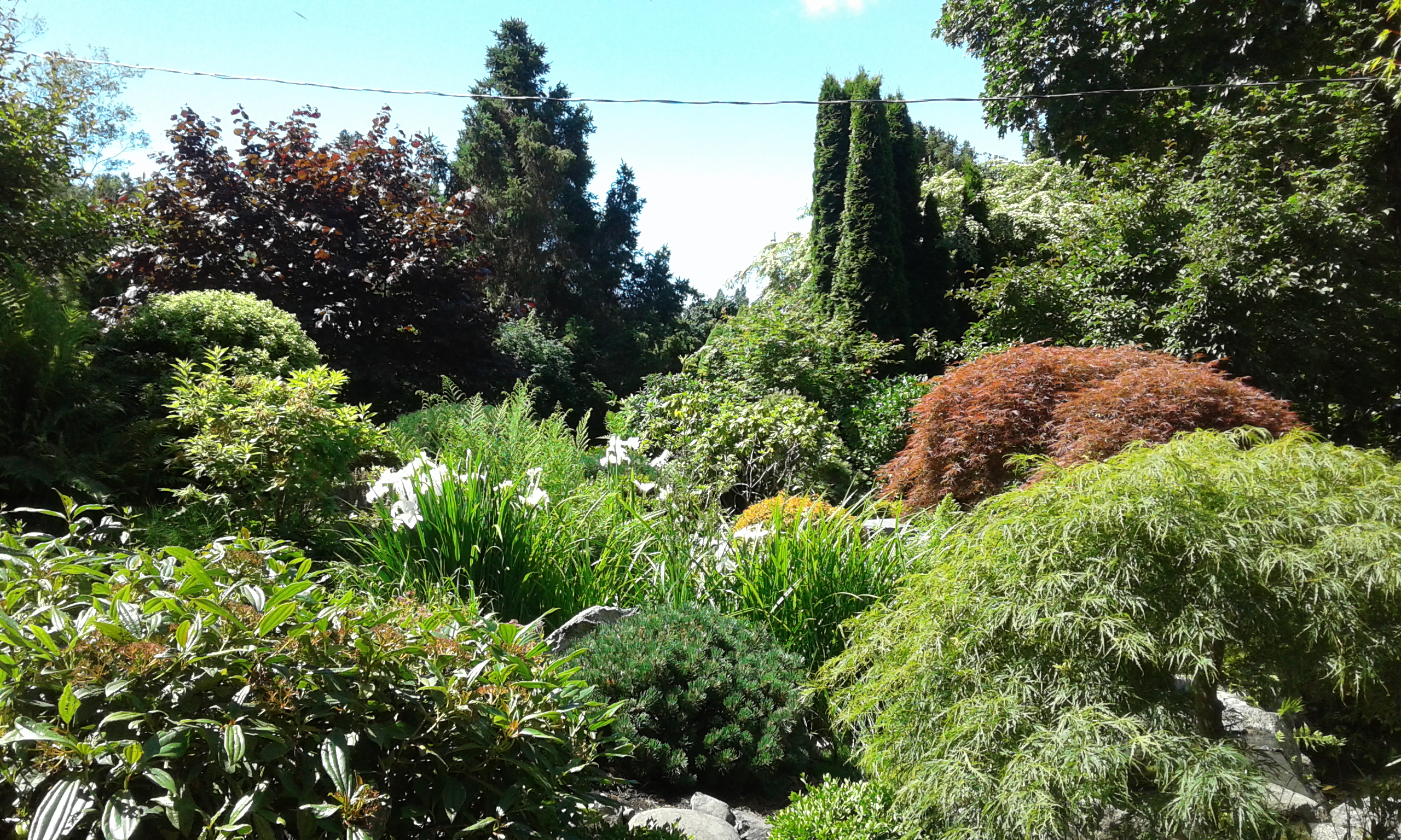 Gorge Park j jgarden.jpg